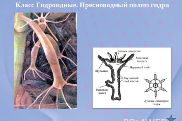 Знают ли власти про маркетплейс кракен